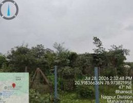 Plot 524